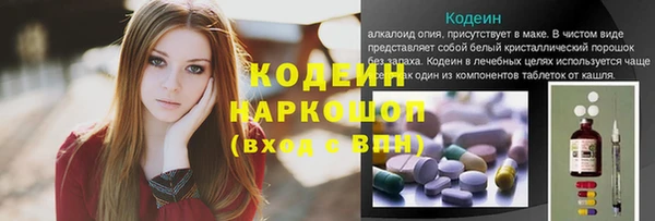 ГАЛЛЮЦИНОГЕННЫЕ ГРИБЫ Осинники