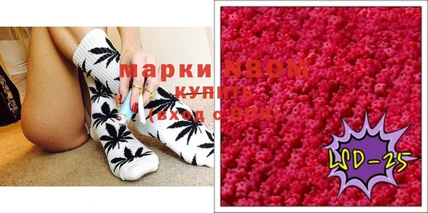 молекула духа Пестово
