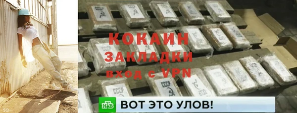 ГАЛЛЮЦИНОГЕННЫЕ ГРИБЫ Переславль-Залесский