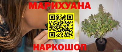 трава Ипатово