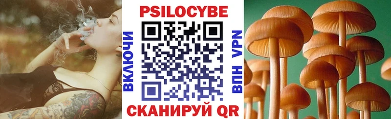 Галлюциногенные грибы Psilocybine cubensis Полысаево
