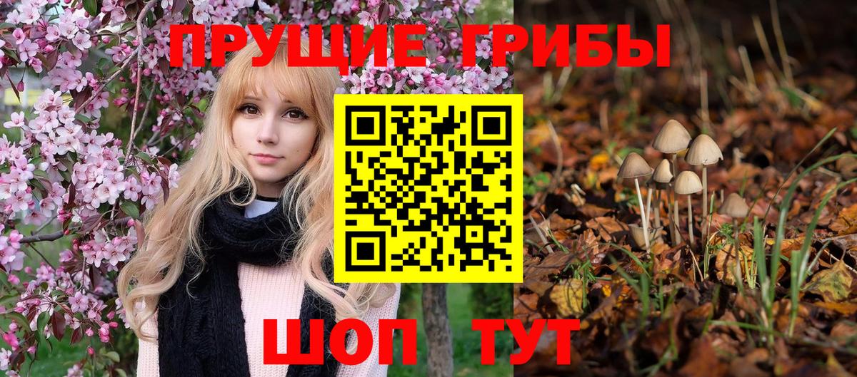 Галлюциногенные грибы прущие грибы Полысаево