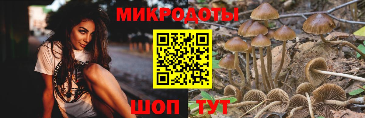 Псилоцибиновые грибы MAGIC MUSHROOMS Полысаево